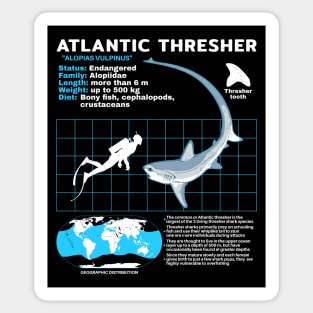 Thresher Shark Fact Sheet Sticker